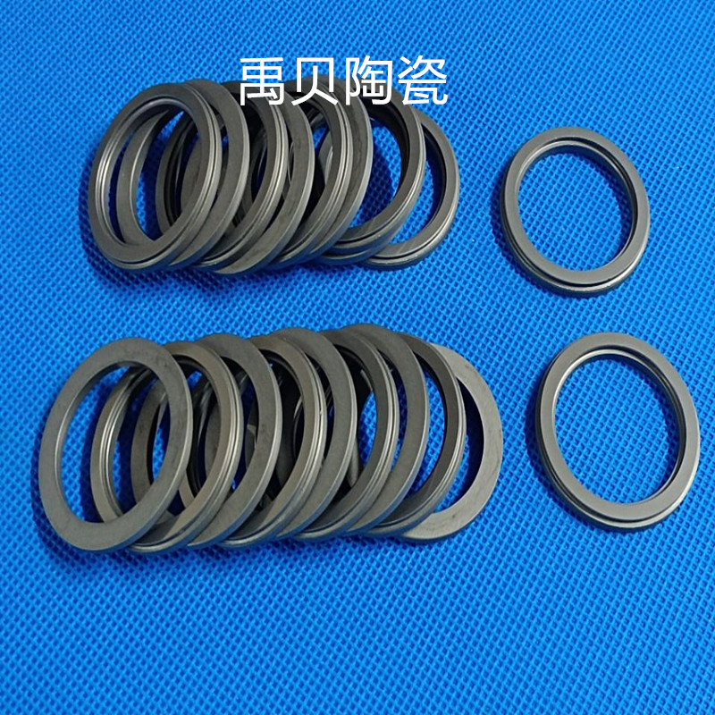 碳化硅密封环1